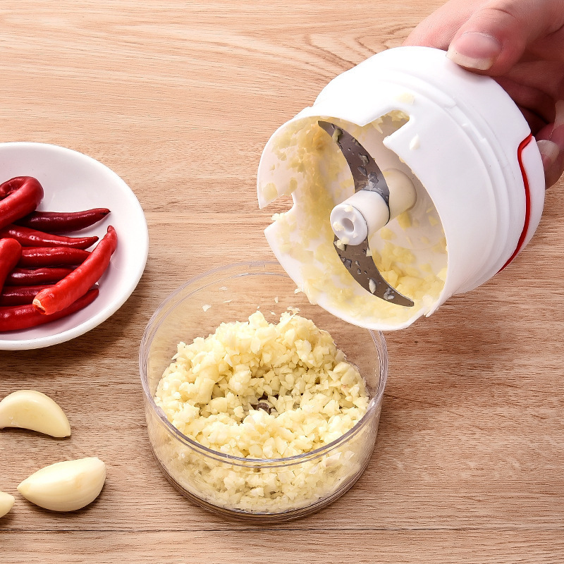Kitchen Gadgets Latest - 1PC Mini Garlic Crusher Press Grater