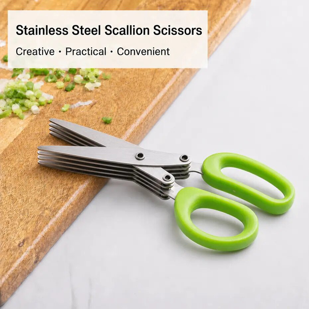 5-Blade Stainless Steel Herb S - Herb Scissors 5 Blade ulasan dan harga