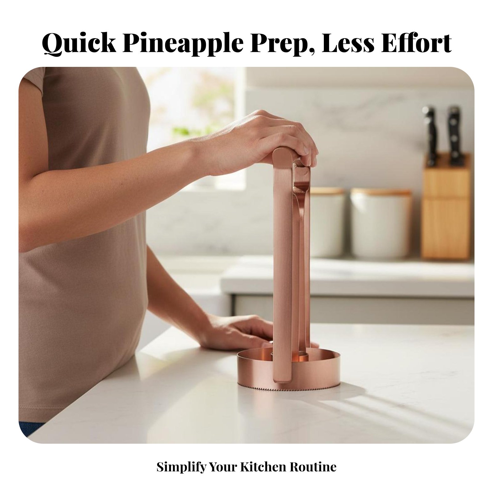 Stainless Steel Pineapple Cutt - Kitchen Gadgets In ulasan dan harga