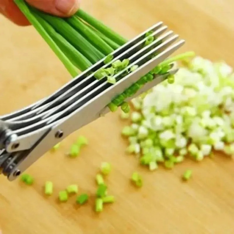 Time Saving Herb Scissors 5 Bl - Herb Scissors 5 Blade ulasan dan harga