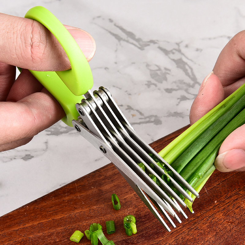 Stainless Steel Multi Layer 3  - Herb Scissors 5 Blade ulasan dan harga