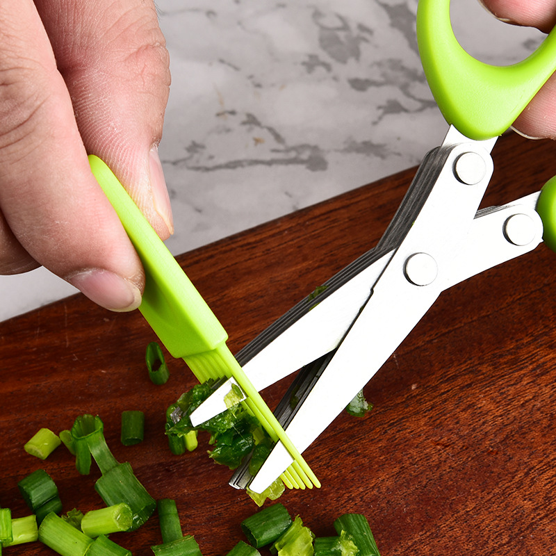Stainless Steel Multi Layer 3  - Herb Scissors 5 Blade ulasan dan harga