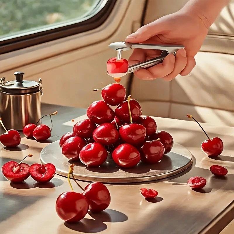 Kitchen Pitter Remover Olive C - Kitchen Gadgets In ulasan dan harga