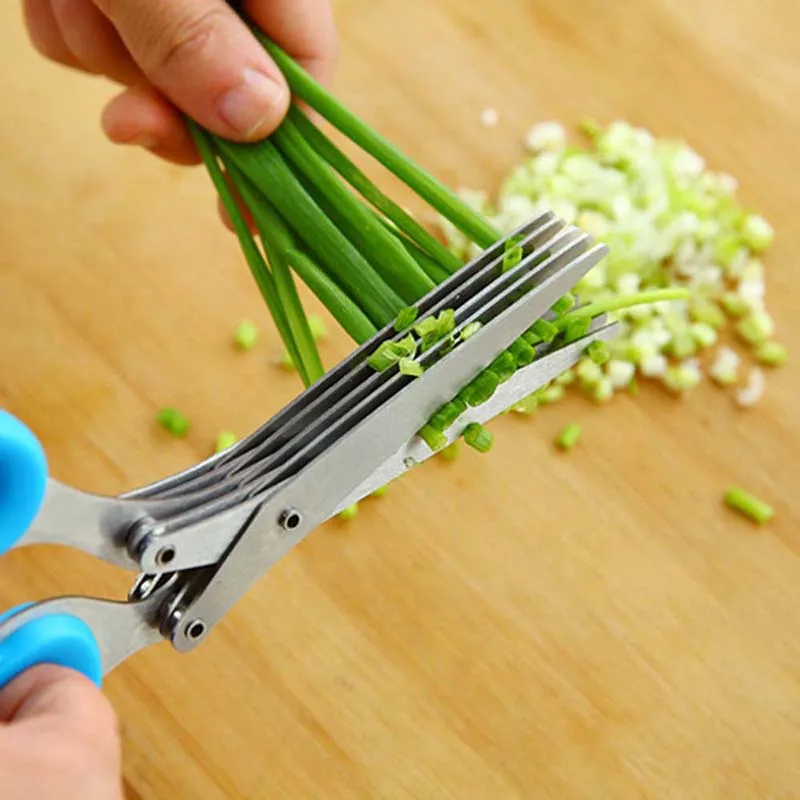 5 Layers Blade Scallion Scisso - Herb Scissors 5 Blade ulasan dan harga