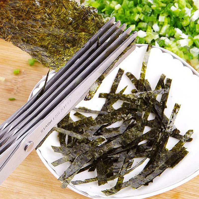 5 Layers Blade Scallion Scisso - Herb Scissors 5 Blade ulasan dan harga