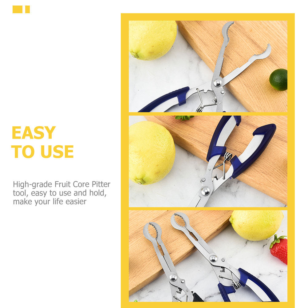 Stainless Steel Hawthorn Pitte - Kitchen Gadgets In ulasan dan harga