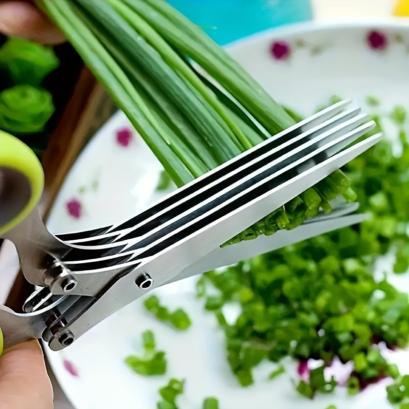 Multi-blade Stainless Steel He - Herb Scissors 5 Blade ulasan dan harga
