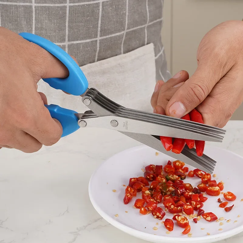 Kitchen Scissors Multifunction - Herb Scissors 5 Blade ulasan dan harga